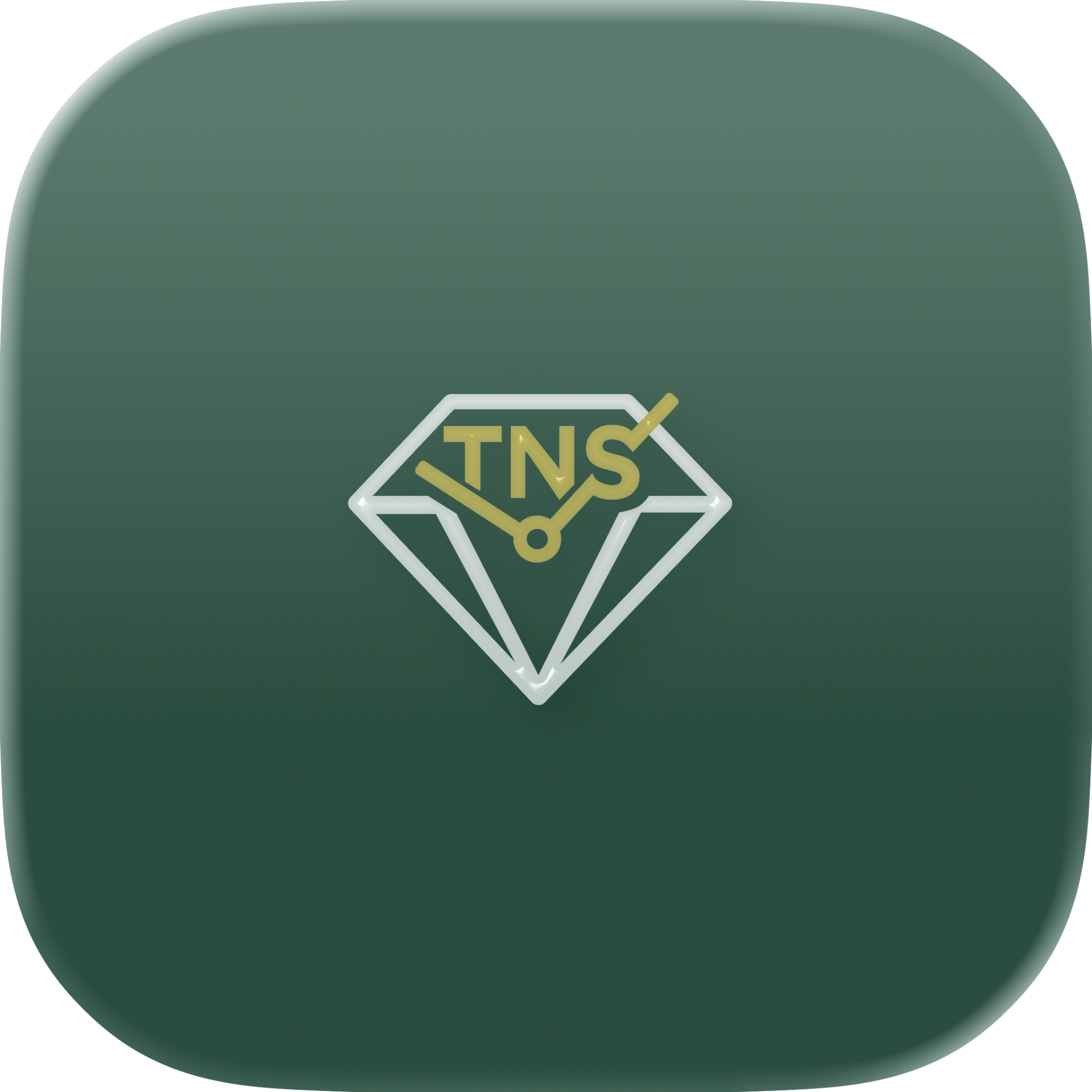 TNS — Website, content systems, SEO, email marketing, and brand development.